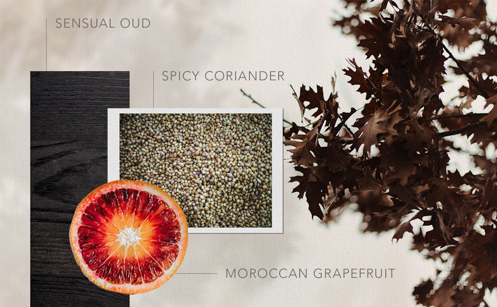 Guild+Pepper by Gilchrist & Soames