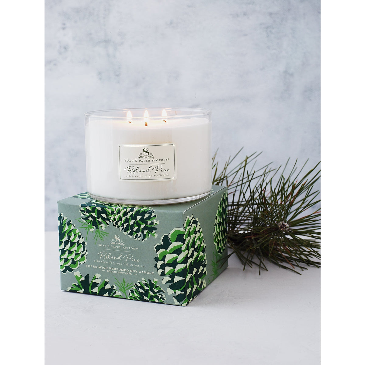 Soap & Paper Factory Roland Pine Three-Wick Candle 18oz burn time 50 hours - Brought to you by Luxe & Lark