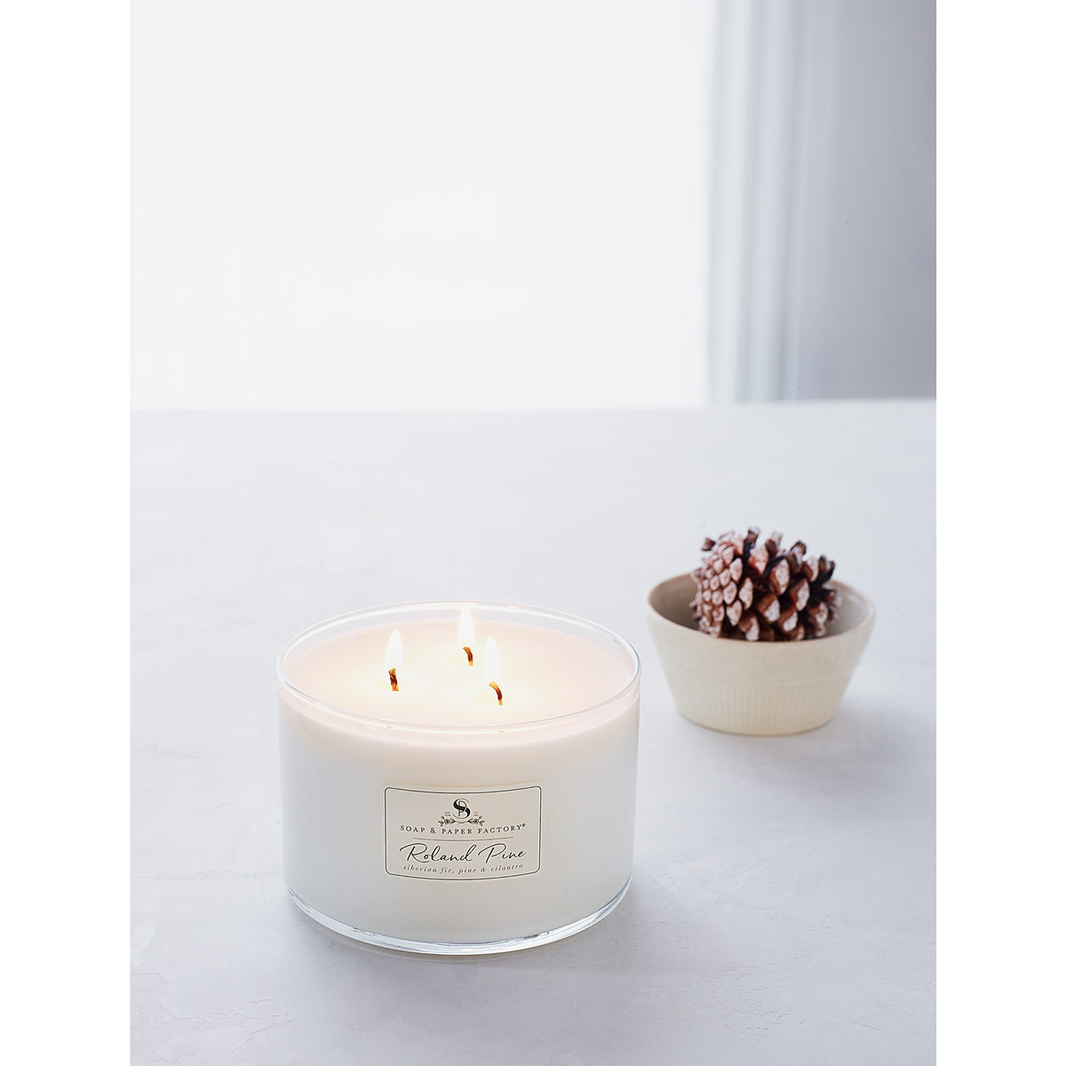 Soap & Paper Factory Roland Pine Three-Wick Candle 18oz burn time 50 hours - Brought to you by Luxe & Lark