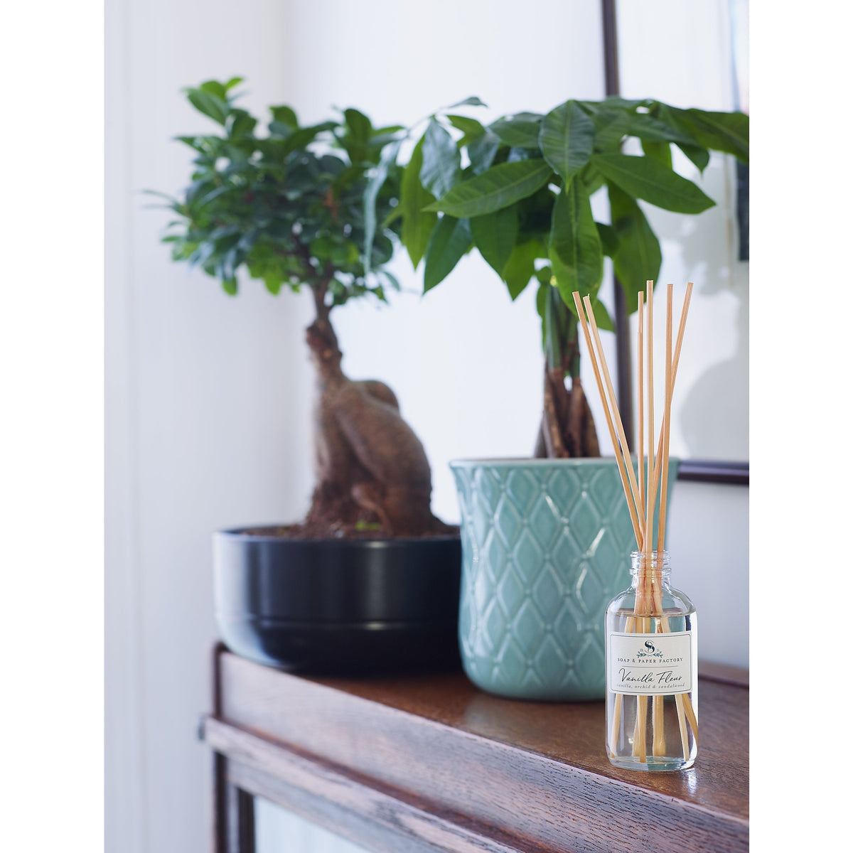 Soap &amp; Paper Factory Vanilla Fleur Reed Diffuser lasts up to 6 months - Brought to you by Luxe &amp; Lark